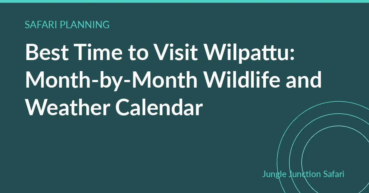 Best Time to Visit Wilpattu: Month-by-Month Wildlife and Weather Calendar