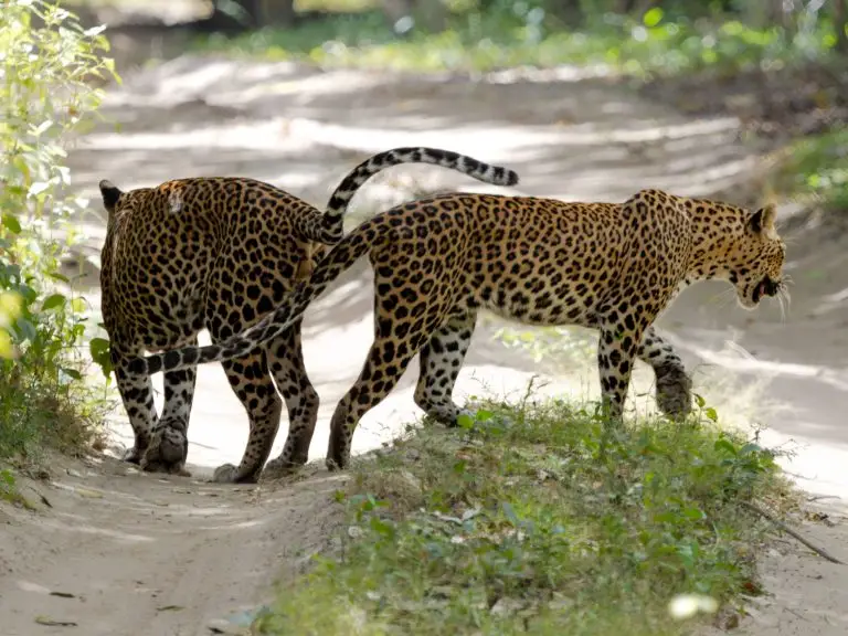 2025 06 20 11 56 14 IMG 0636 Enhanced NR 2 768x576