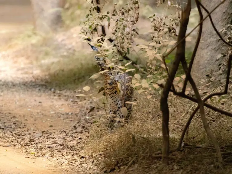 2025 07 15 07 10 22 IMG 1055 1 768x576