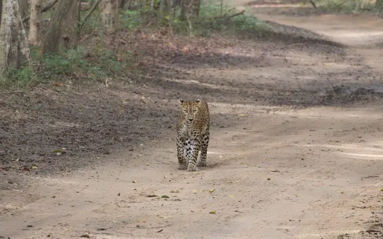 2026 02 02 16 25 17 IMG 3436 2 768x480