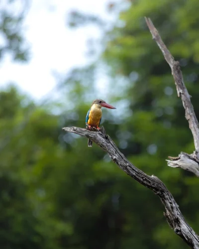 2025_07_21_09_25_15_IMG_1145-Enhanced-NR-2