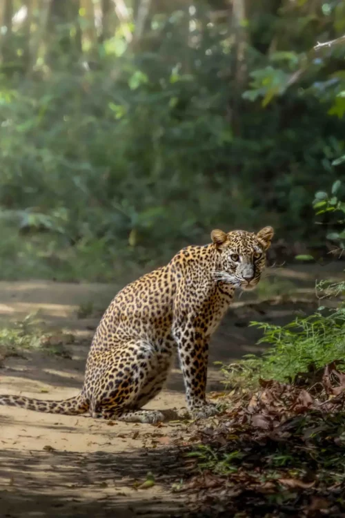 img 6297 enhanced nr 2